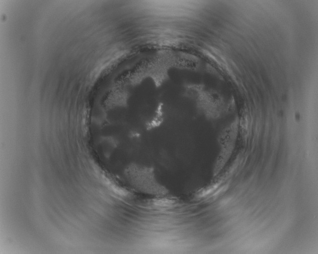 X0000088590462200705251153