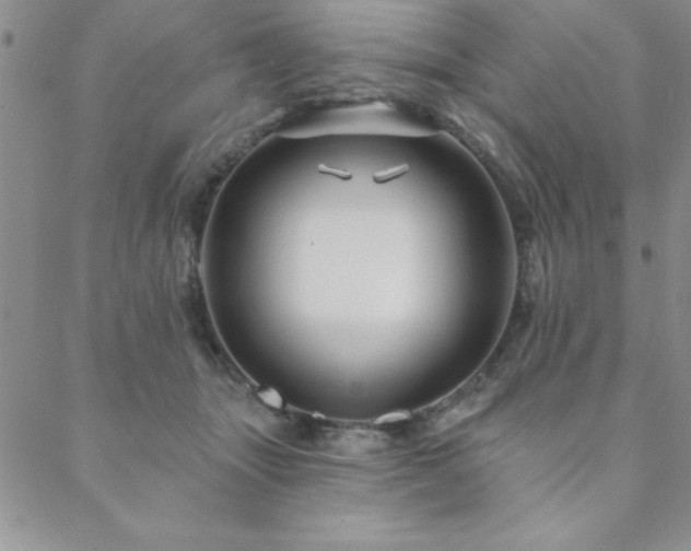 X0000088590463200705251153