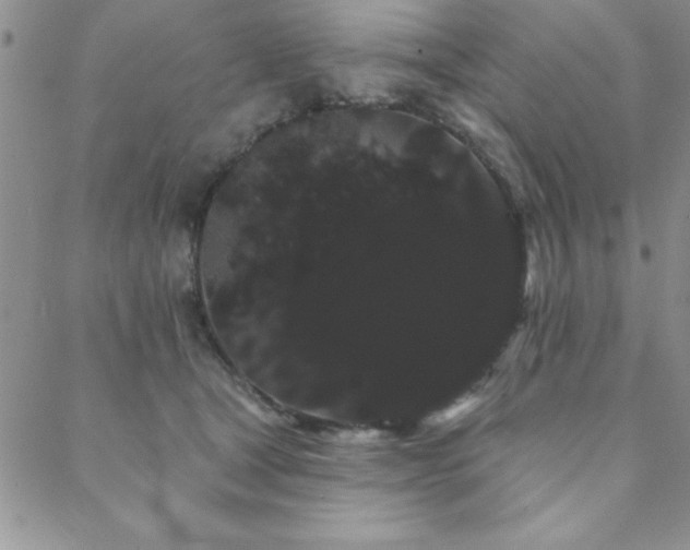 X0000088590465200705251153