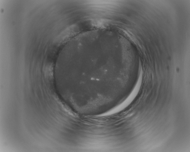 X0000088590466200705251153