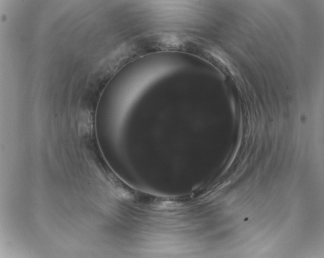 X0000088590467200705251153