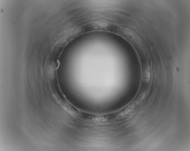 X0000088590468200705251153