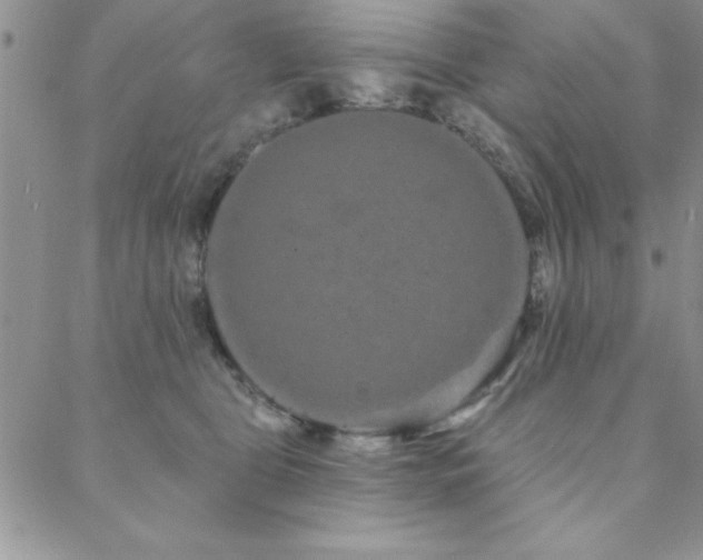 X0000088590469200705251153