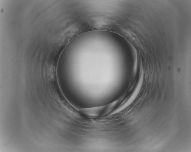 X0000088590470200705251153