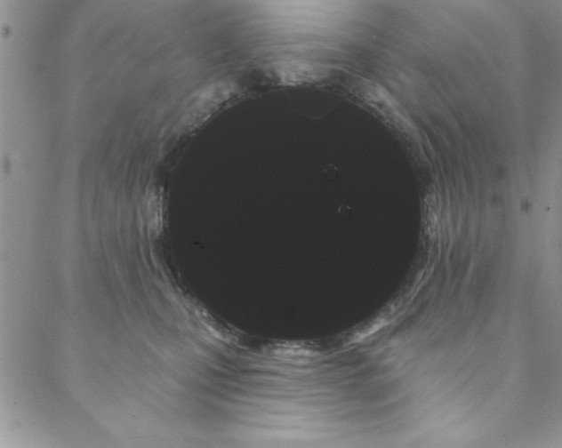 X0000088590471200705251153