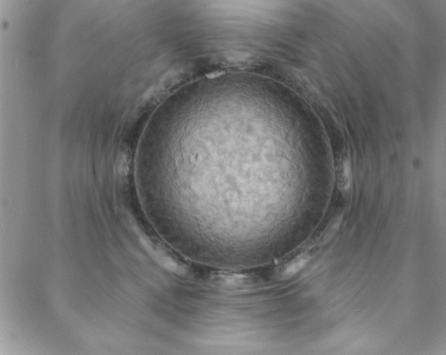 X0000088590472200705251154