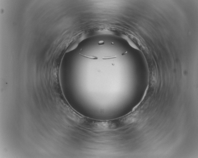 X0000088590473200705251154