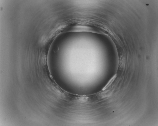 X0000088590474200705251154