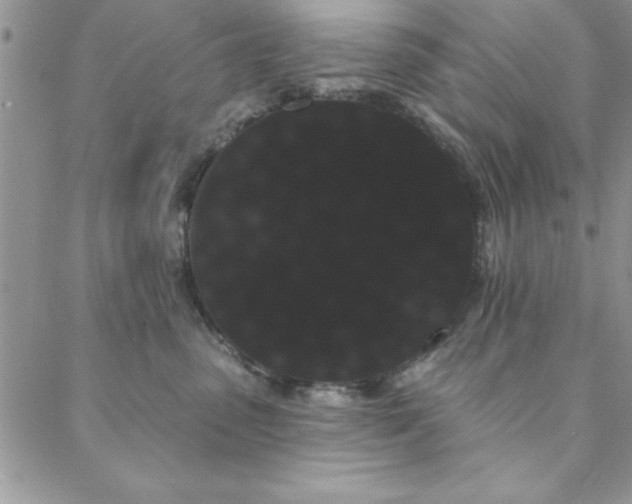 X0000088590475200705251154