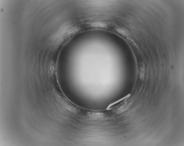 X0000088590476200705251154