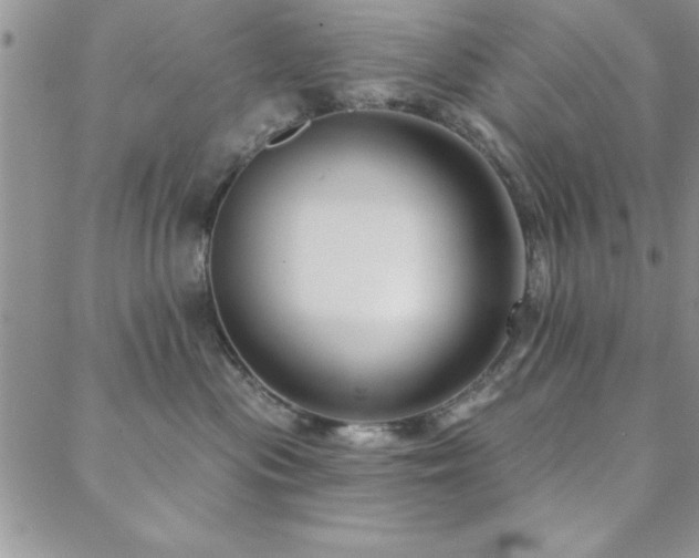 X0000088590477200705251154