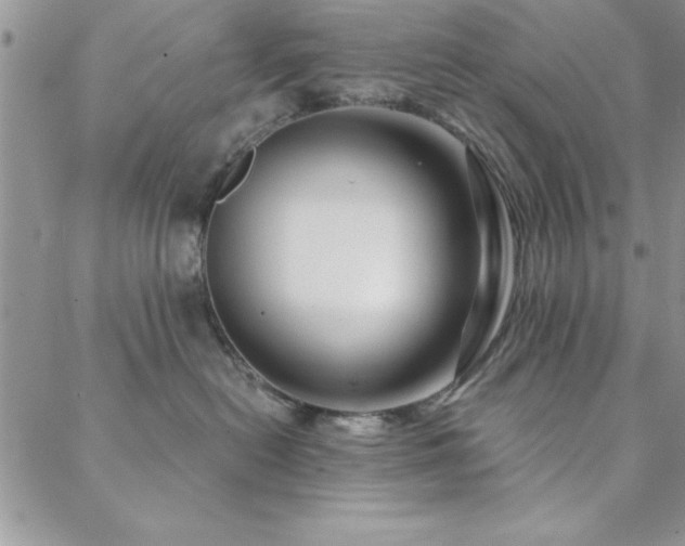 X0000088590478200705251154