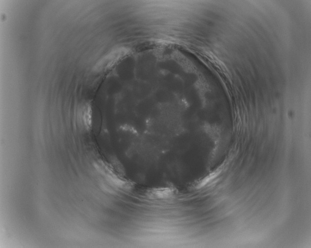 X0000088590479200705251154