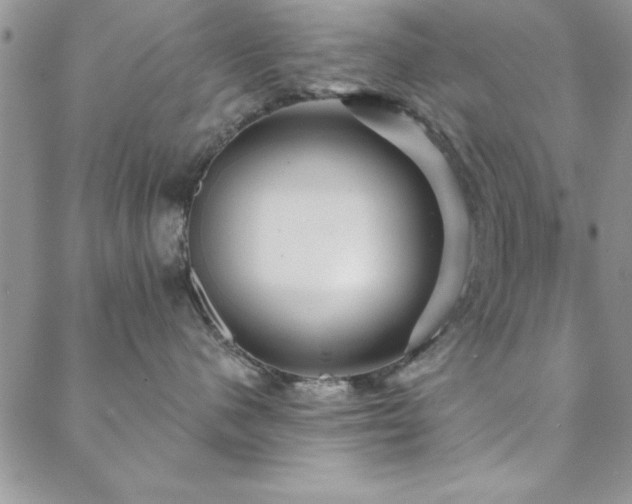 X0000088590480200705251154