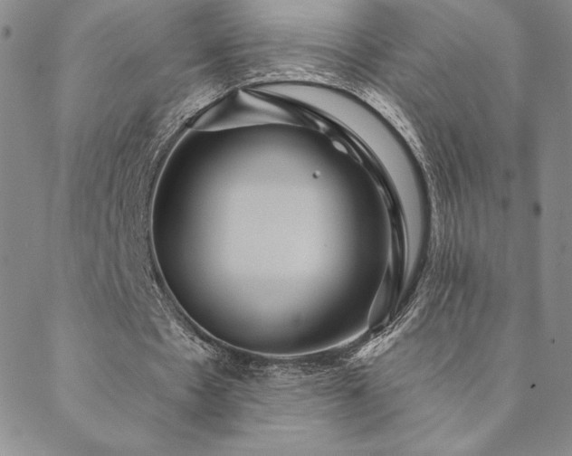 X0000088590481200705251153