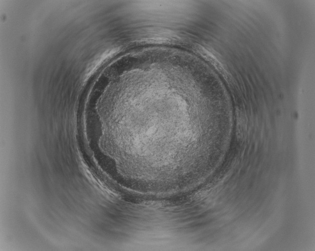 X0000088590482200705251153