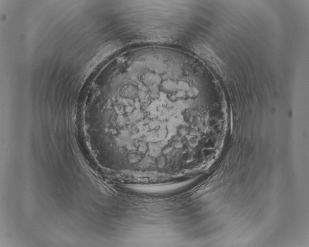 X0000088590483200705251153