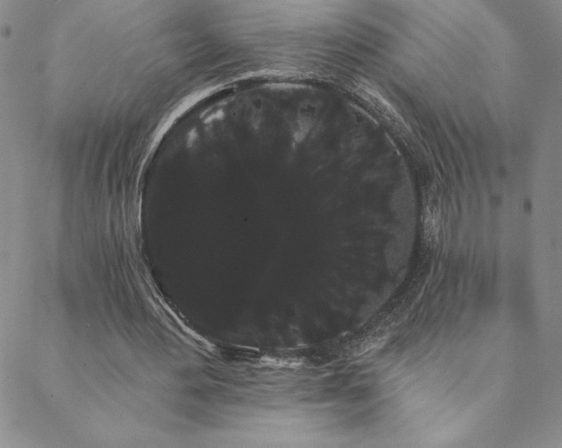 X0000088590484200705251153