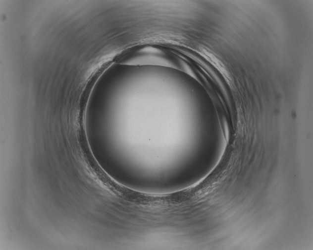 X0000088590485200705251153