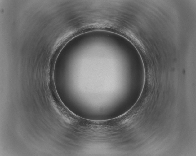 X0000088590486200705251153