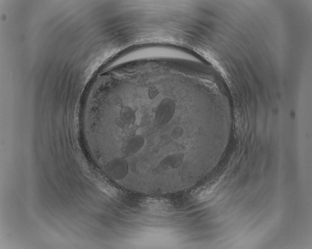 X0000088590487200705251153