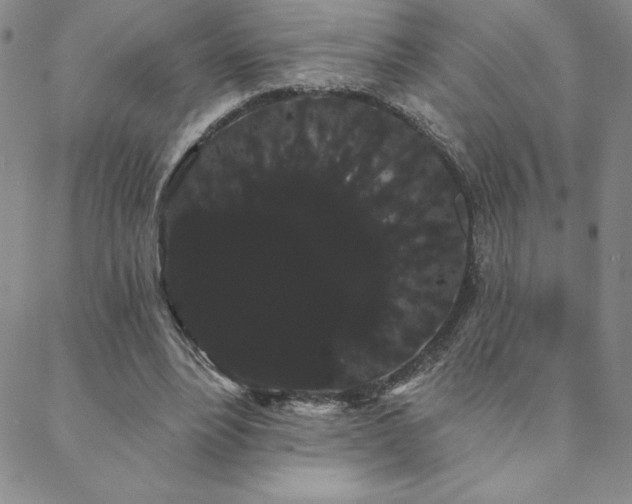 X0000088590488200705251153