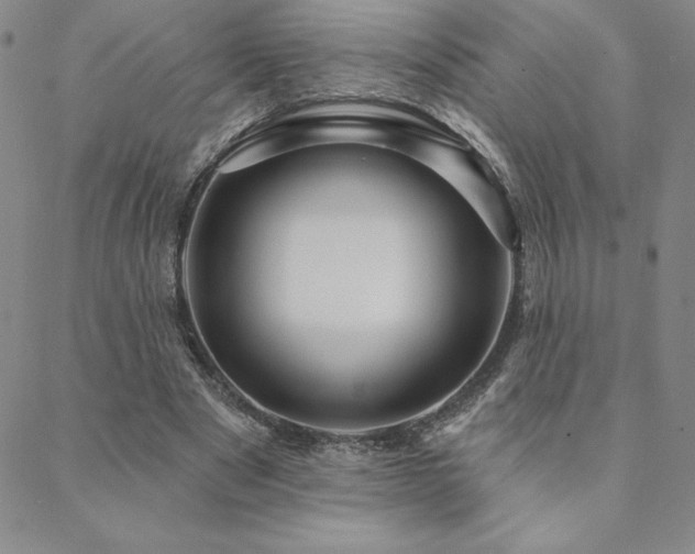 X0000088590489200705251153