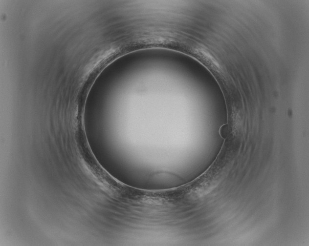 X0000088590490200705251153