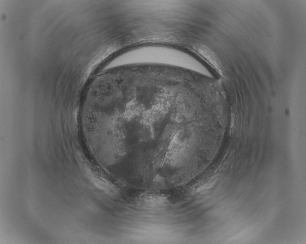 X0000088590491200705251153