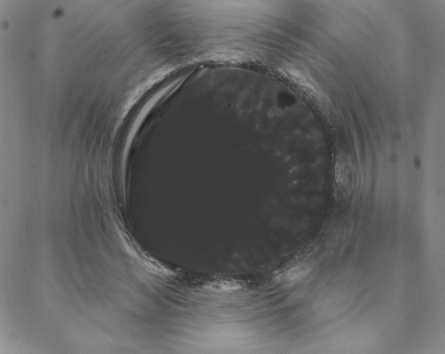 X0000088590492200705251153