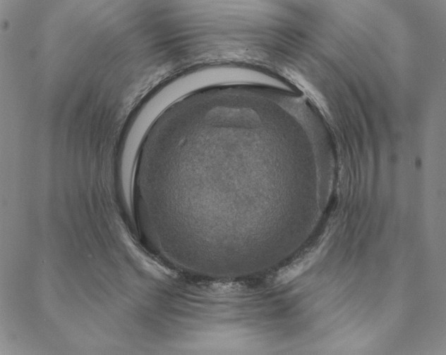 X0000088590493200705251153