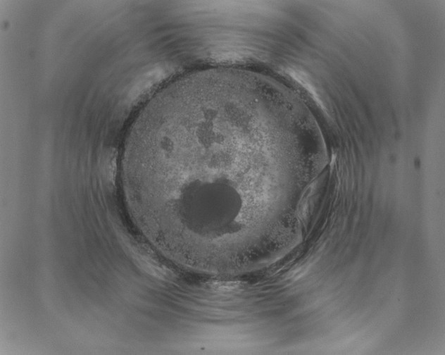 X0000088590495200705251153