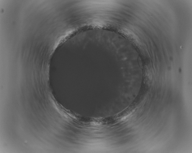 X0000088590496200705251153