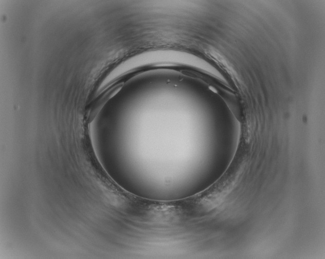 X0000088590497200705251153