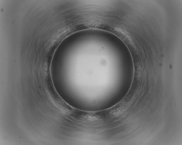 X0000088590498200705251153