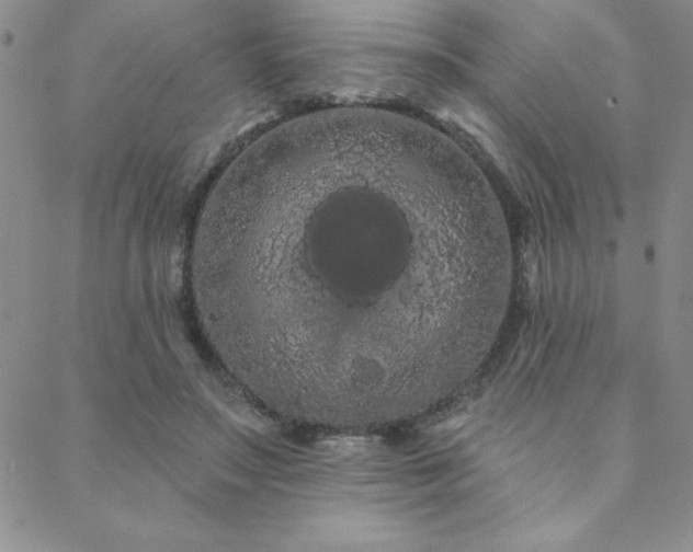 X0000088590499200705251153