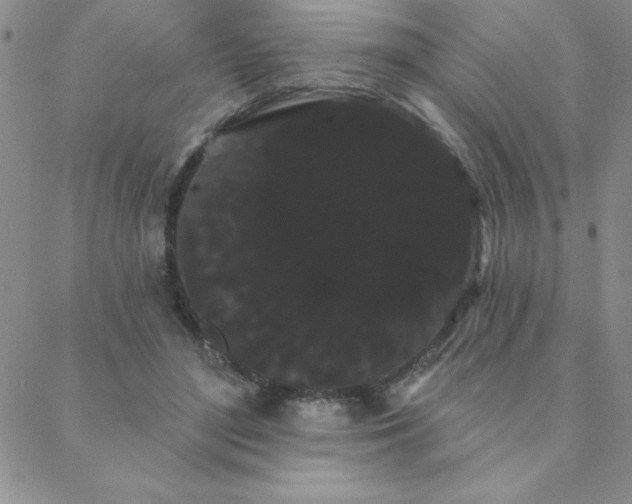 X0000088590500200705251153