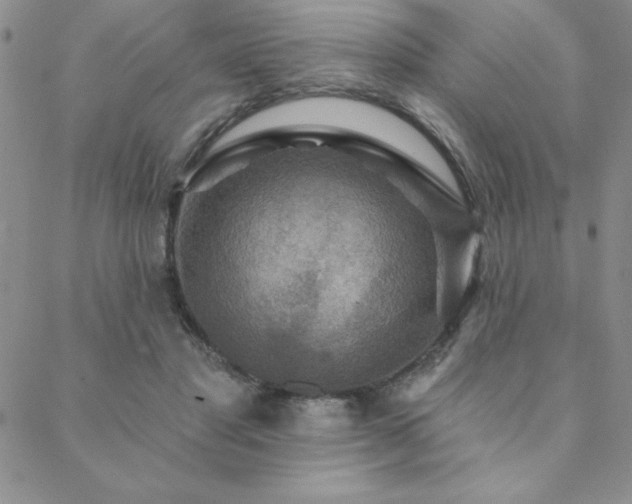 X0000088590501200705251153