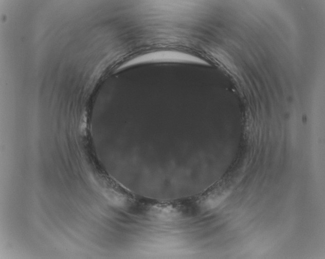 X0000088590502200705251153