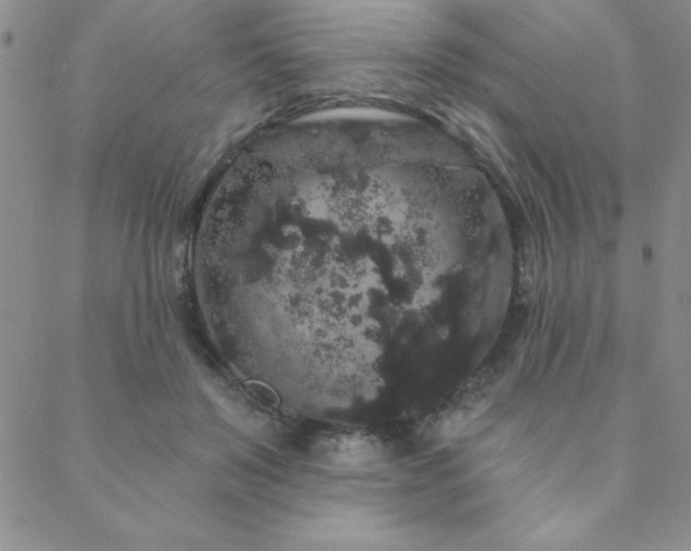 X0000088590503200705251153