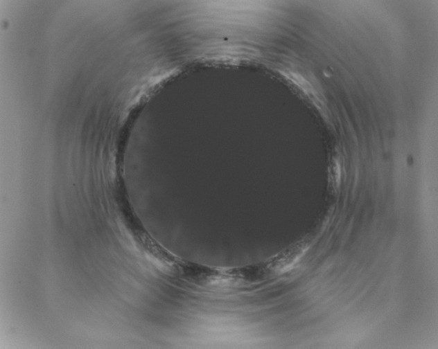 X0000088590504200705251152