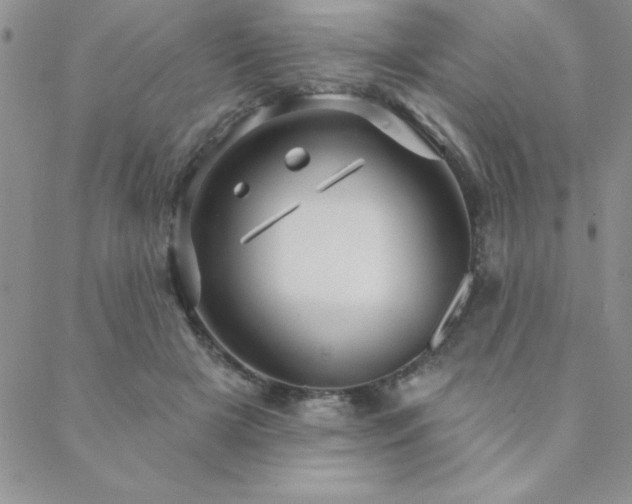 X0000088590505200705251152