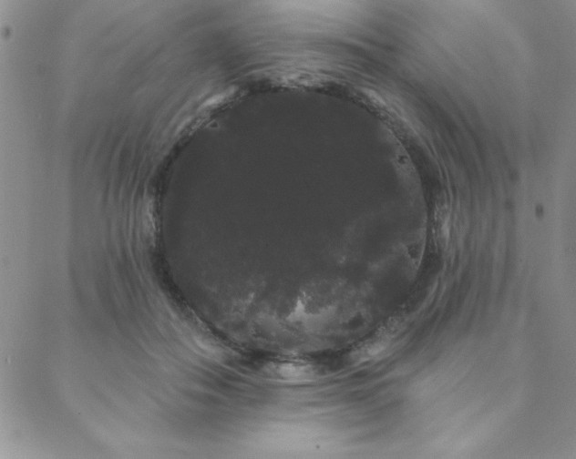 X0000088590506200705251152