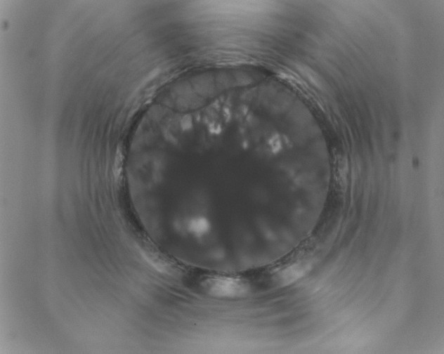 X0000088590507200705251152