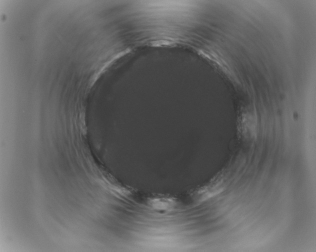 X0000088590508200705251152