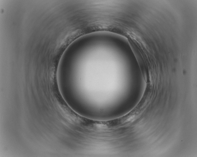 X0000088590509200705251152