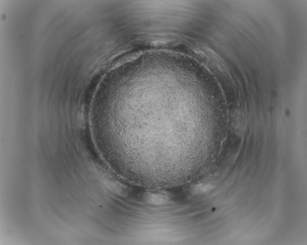 X0000088590510200705251152