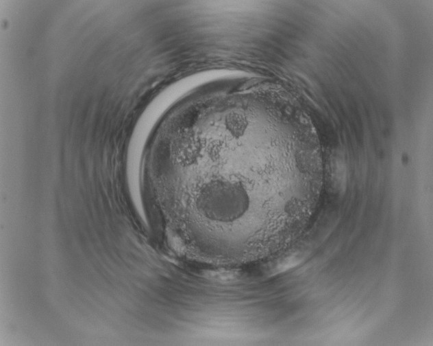 X0000088590511200705251152