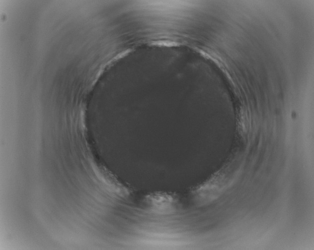 X0000088590512200705251152