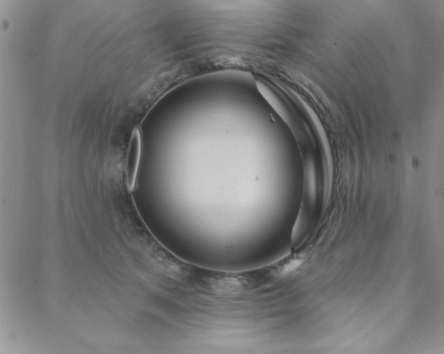 X0000088590513200705251152